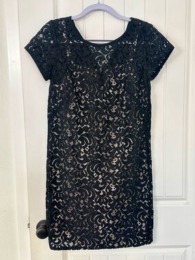 Black Lace Short Sleeve Shift Dress - Classic Women's Dress- LOFT
